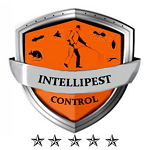 Intellipest Control Inc.