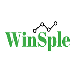 WINSPLE- IT training and certification provider.