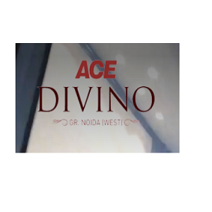 Magnificent Ace Divino
