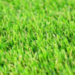 Most Realistic Artificial Grass