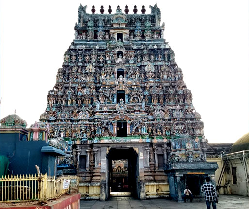 The Best Nadi Astrologer in Vaitheeswaran Kovil