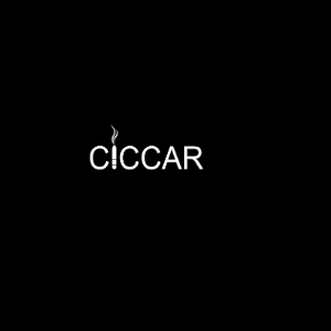 Cigar Accessory Case and Cigar Kit for Travel | Ciccar Life