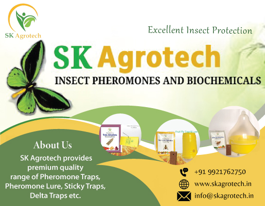 SK Agrotech | Pheromone Traps and Lures Manufacturer, Supplier, Wholesaler