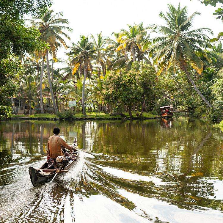Kerala: A Journey Through God’s Own Country